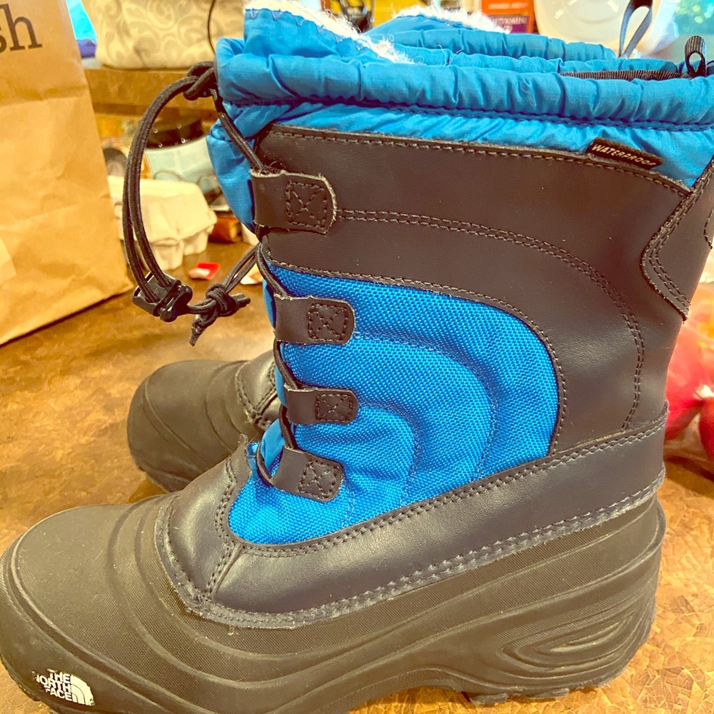 North face boots